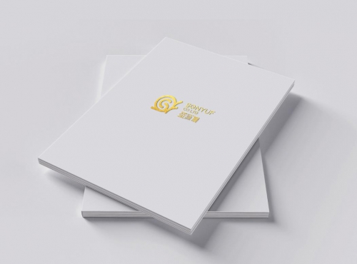 企業(yè)畫冊設(shè)計有哪些風(fēng)格?